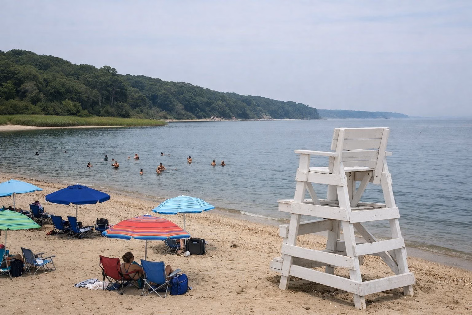 A calm, family beach on a sheltered sound in summer, swimmers small in the shallow water, beach umbrellas spread along the sand, an empty white lifeguard chair