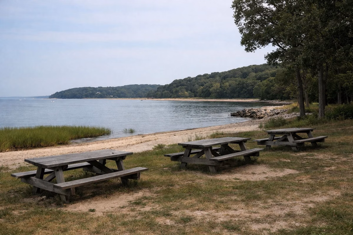 Picnic tables on grass at the edge of a small sandy beach on a calm bay