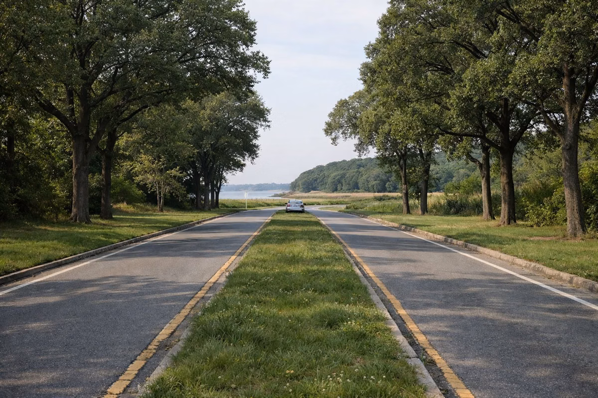 A two-lane park entrance road lined with tall oaks and a grassy median, one car in the distance, no signs