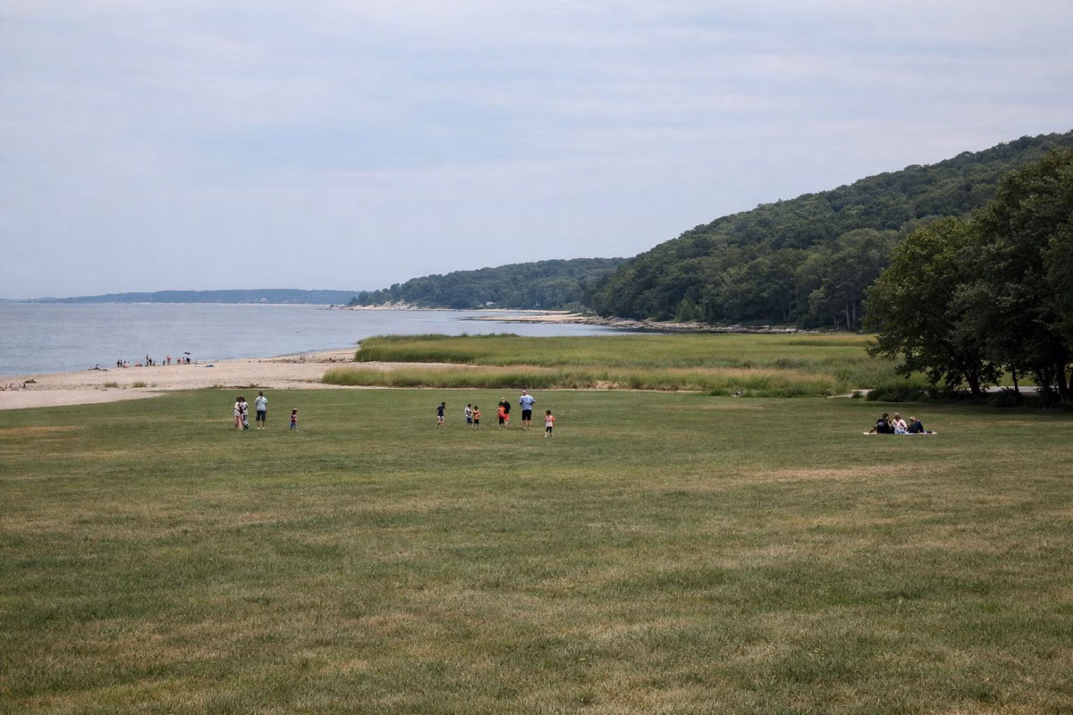 A wide open park lawn with families and children small in the distance playing, trees around the edges