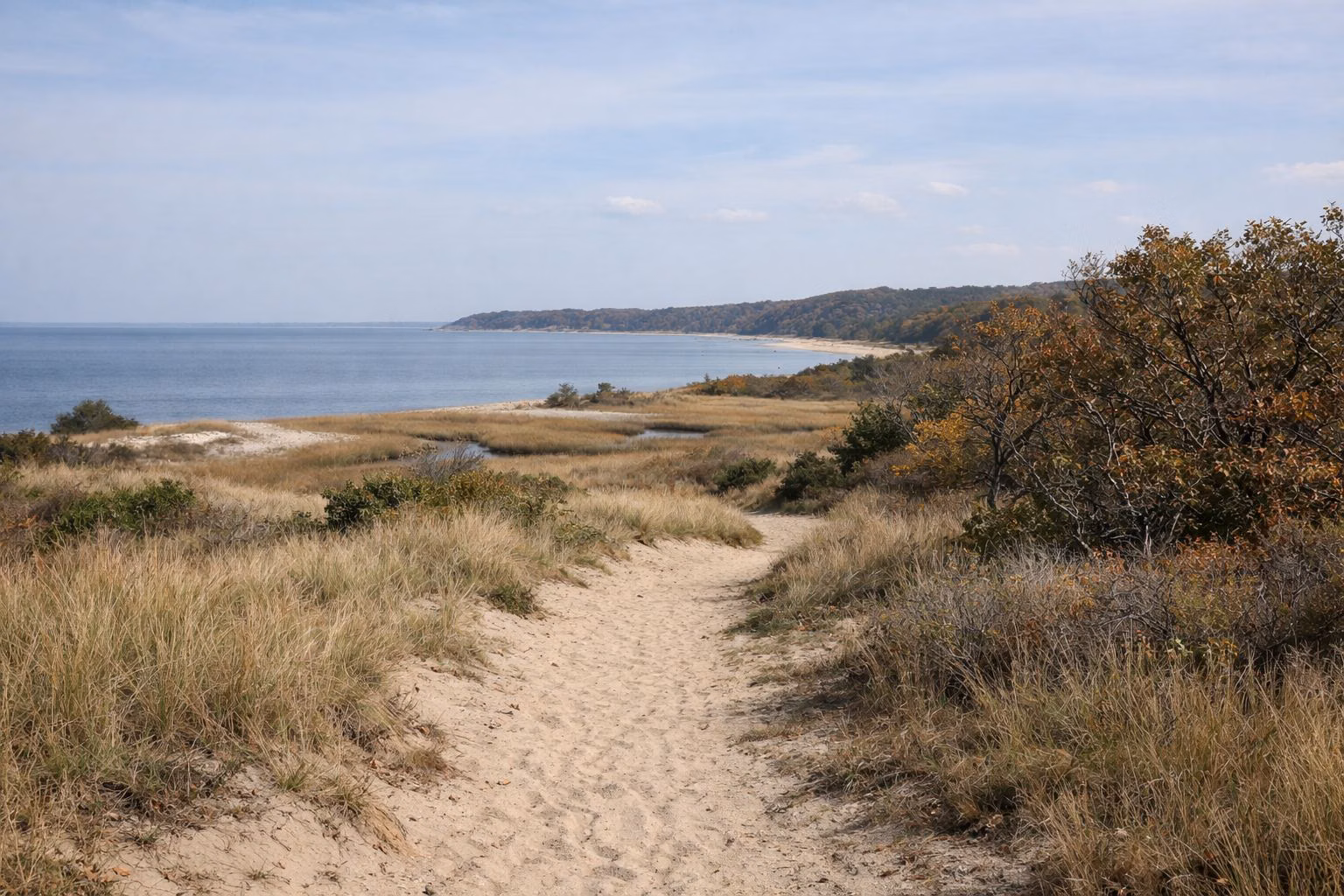 A sandy footpath winding through dune grass and low scrub oaks on a rise, calm sound visible in the distance